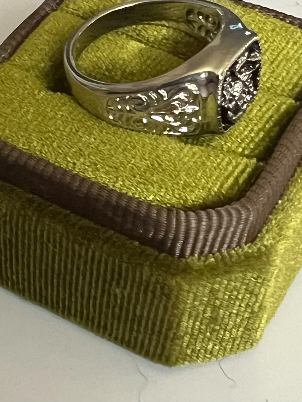 Scorpion Design Titanium Steel Silver/Black Unisex Ring Size 9